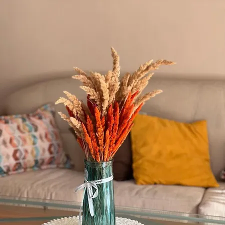 Dkapartments Amrita Misivri